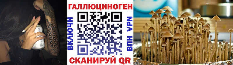 где можно купить наркотик  Емва  Галлюциногенные грибы прущие грибы 