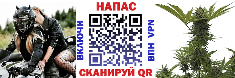 Бошки Шишки Ganja  что такое наркотик  KRAKEN как войти  Емва 